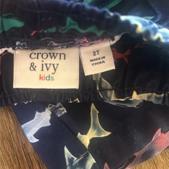 Crown and Ivy swim trunks size 2T - Picture 3 of 5